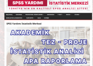 SPSS Yardımı İstatistik Merkezi: İstatistik Analizlerinde Uzman Rehberiniz