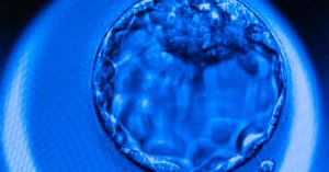 Baptistler ve GOP IVF Konusunda Nasıl Farklı Yollar İzledi?